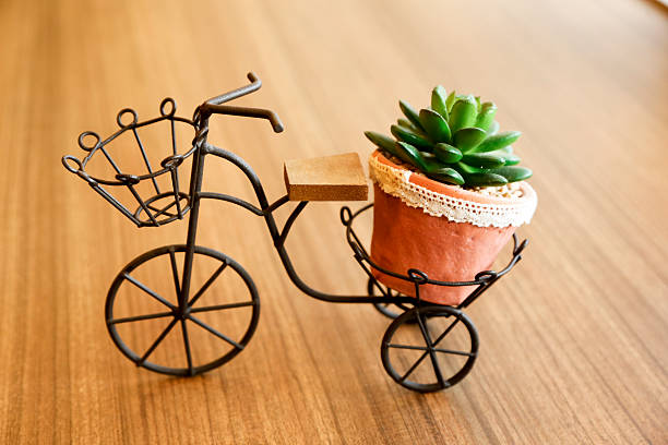 istock Miniature  bicycle with flowerpot on plate 625685300