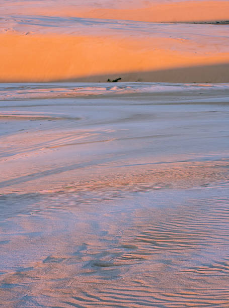 dune di sabbia - harmonics foto e immagini stock