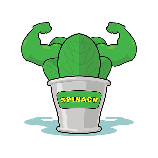 Spinach strong and powerful. Muscular arms of banks spinach. Hea Spinach strong and powerful. Muscular arms of tin spinach. Healthy greens. Athletic Green sheets. Sports plant eating body building muscular build vegetable stock illustrations