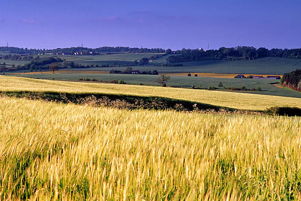 istock agricultural landscape england uk 625686970