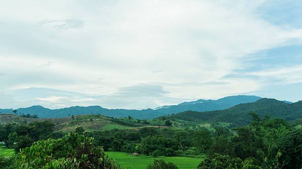 istock The spring landscape on the hills. the trees hill 625687138