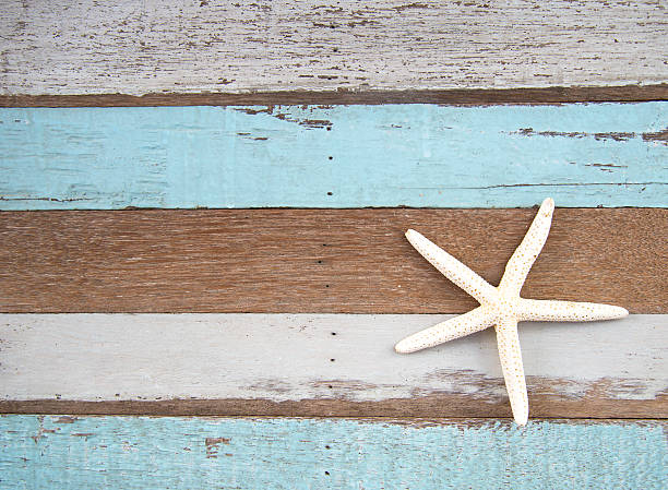 istock Star fish on wooden background 625688108