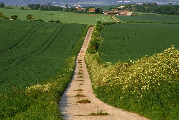 ridgeway path south downs kent ridgeway path south downs kent ridgeway stock pictures, royalty-free photos & images