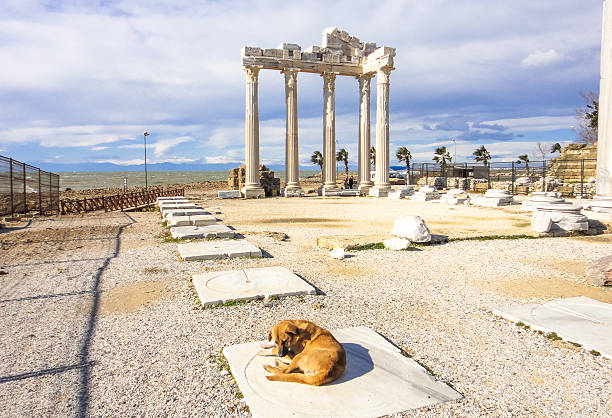istock Apollo Temple in Side town. Turkey. Asia Minor 625707536