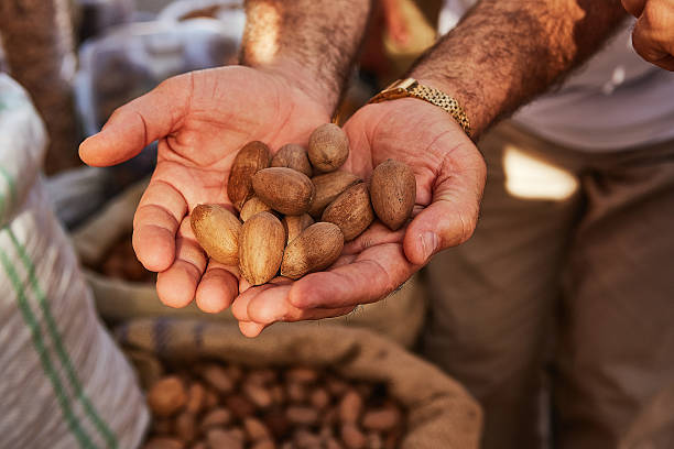 istock Pecans nuts in mens hands as a background fair 625714884