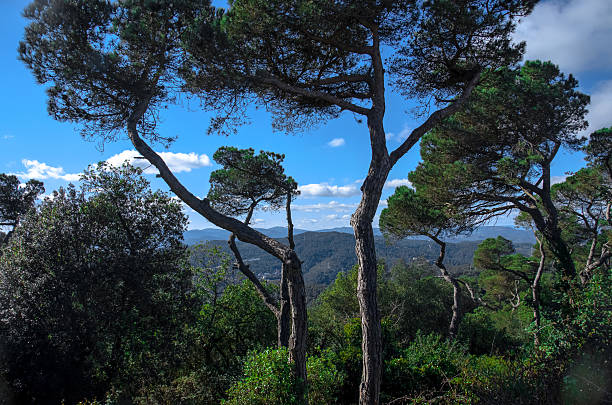 istock Fascinating view from Tibidabo mountain near Barcelona 625724762