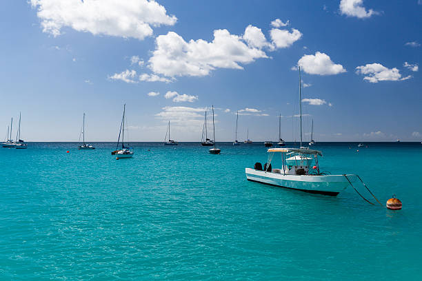 istock Carlisle Bay in Barbados 625734174