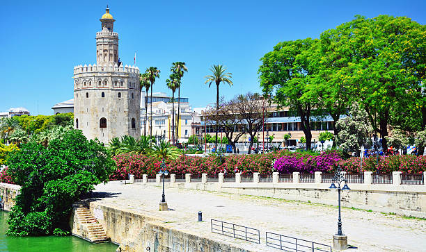 torre de oro, naranjas - seville sevilla andalusia torre del oro fotografías e imágenes de stock