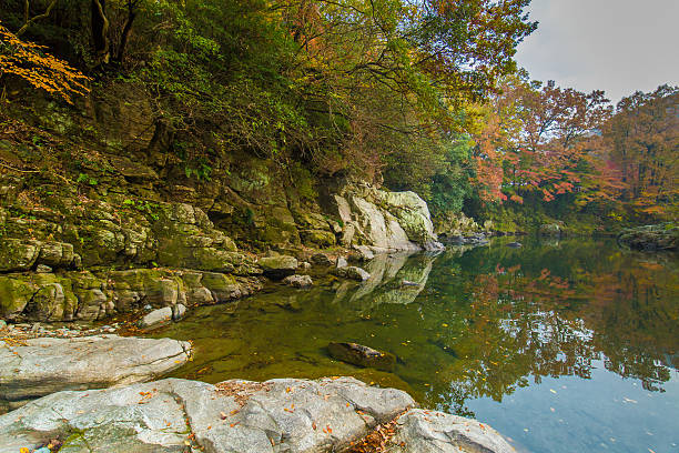 istock Japanese autumn leaves 625738280