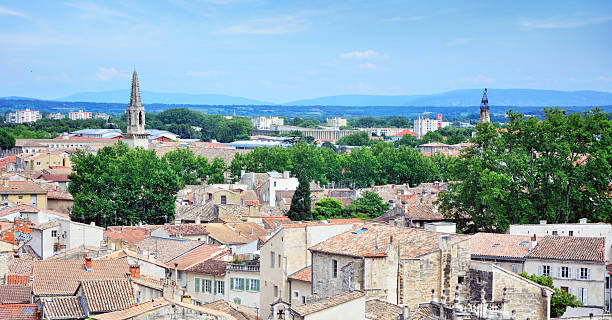 istock Aerial view of Avignon 625738288