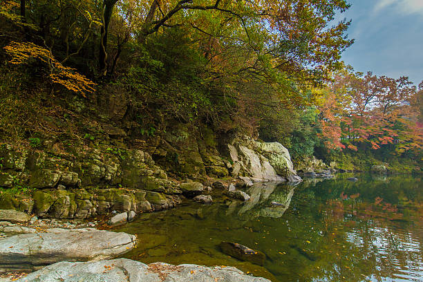 istock Japanese autumn leaves 625738398