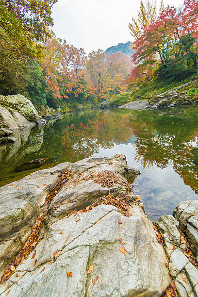 istock Japanese autumn leaves 625738796