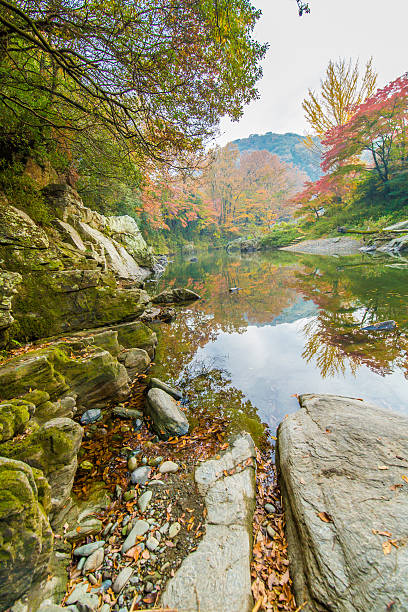 istock Japanese autumn leaves 625739386