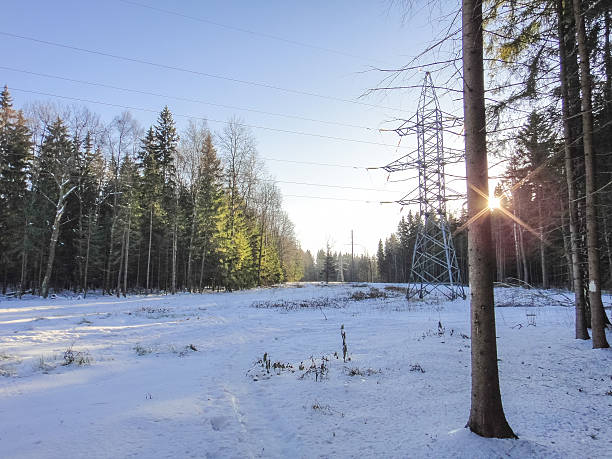 istock Winter forest under the november sun 625740392