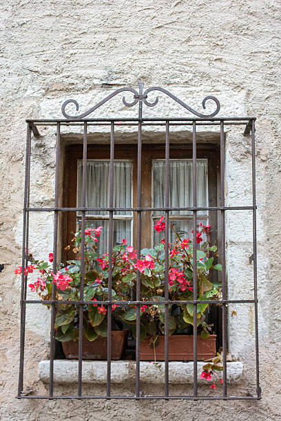 istock Window decorated. Vibrant Colorful Red flower 625741720