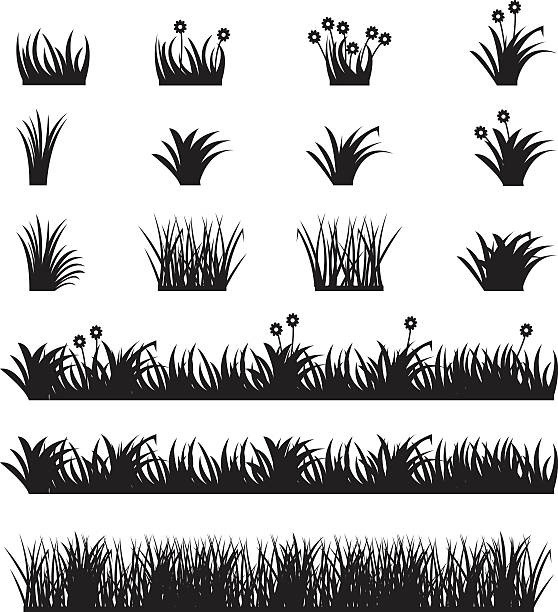 illustrations, cliparts, dessins animés et icônes de ensemble de vecteurs d’herbe. - grass prairie silhouette meadow