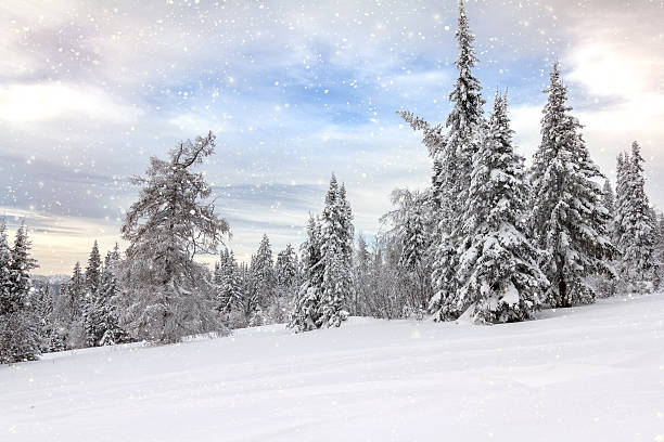 istock Winter in the mountains 625754114
