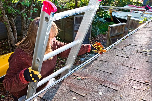 Mature woman on a ladder cleaning gutters of leaves. stock photo