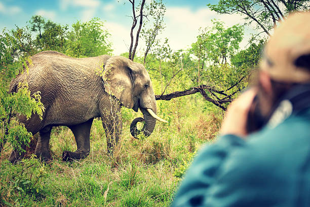 istock Photographer taking safari pictures 625755454