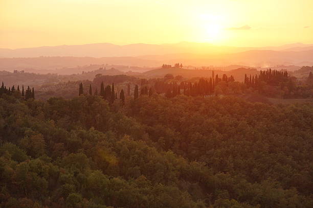 paesaggio toscano in caldo tramonto - warmes licht foto e immagini stock