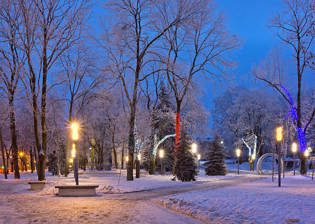 istock Winter park with Christmas decorations in Pskov, Russia at dusk 625758896