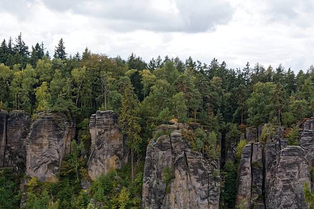 istock sandstone rocks - Prachovske skaly (Prachov Rocks) 625769818