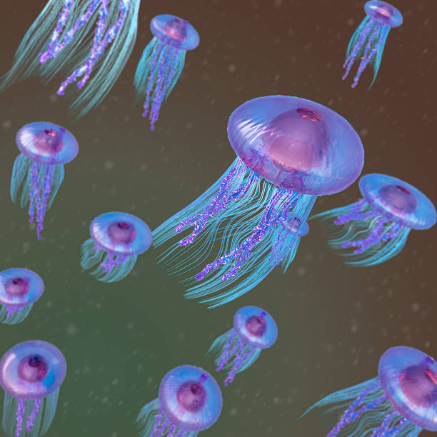 istock jellyfish colorful abstract background 625770174