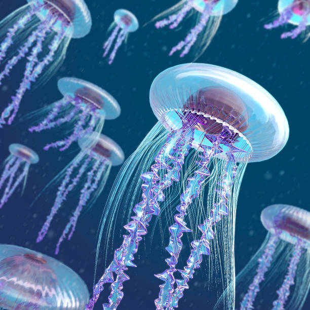 meduse colorato sfondo astratto - jellyfish underwater water light foto e immagini stock