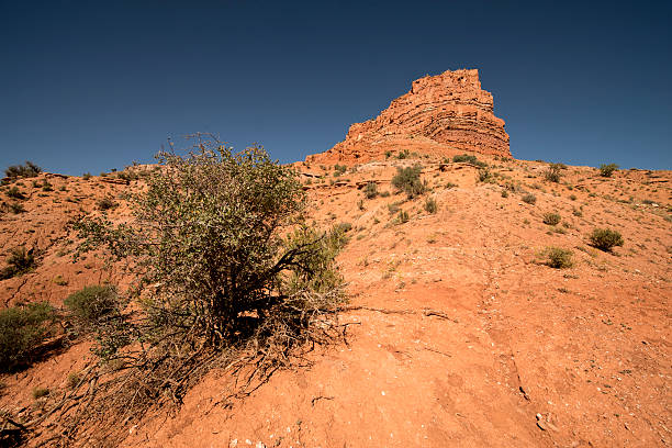 istock Utah Desert Colors and Rocky Plateaus 625773666