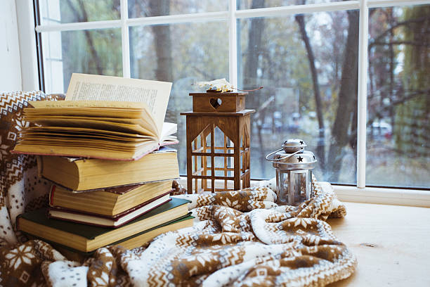 istock Stack of books with a warm blanket on a windowsill 625774586