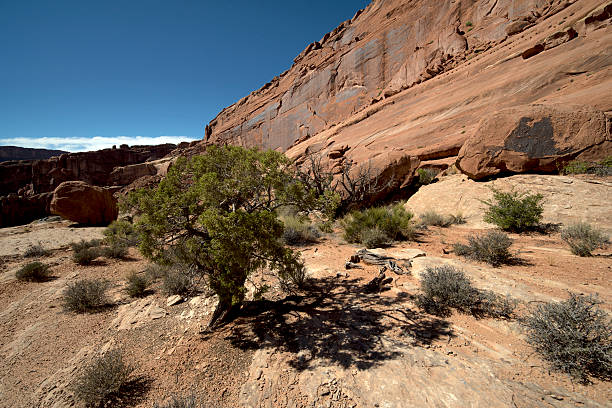 istock Utah Desert Colors and Rocky Plateaus 625774632