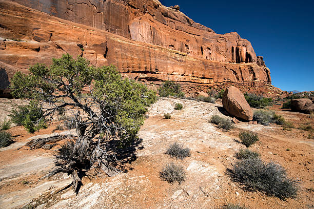 istock Utah Desert Colors and Rocky Plateaus 625779372