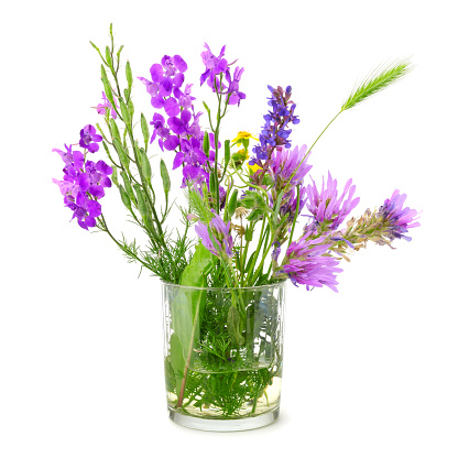 Wildflowers in glass isolated on white background.