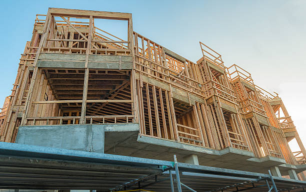 istock Structure of Wood in Construction 625783030