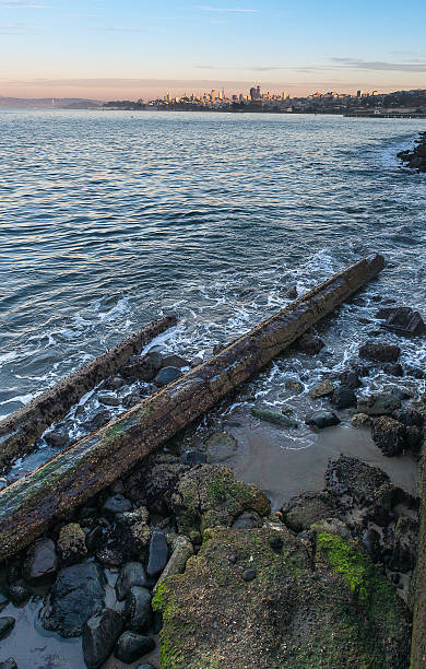 istock Downtoen of San Francisco 625783206