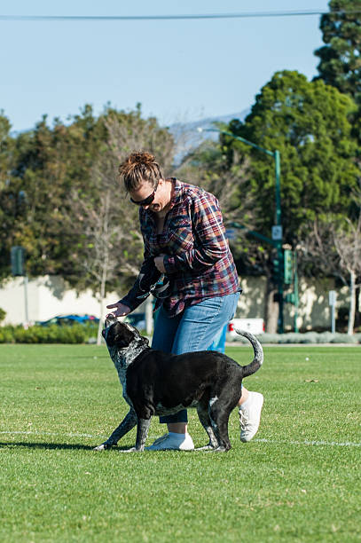 istock Family dog playing with middle age blond. 625784840