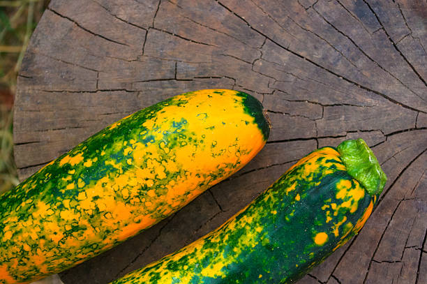 istock unusual green-orange zucchini 625785778