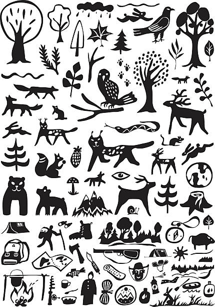 Forest  animals , camping - doodles set Forest  animals , camping - icons in graphic style fire fox stock illustrations