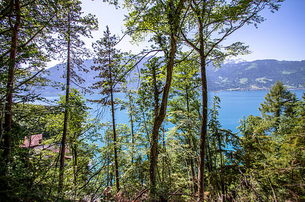 istock Lake Brienz, Switzerland 625791444