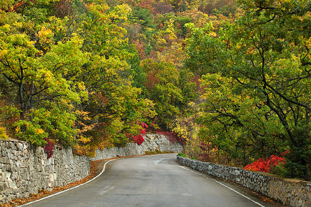 istock Twisting road through autumn mountain forest 625792572