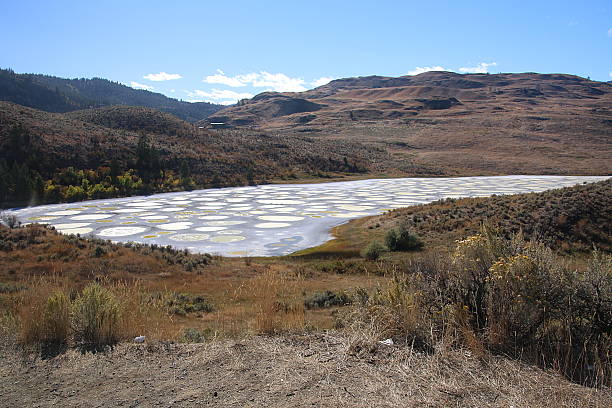 istock Spotted Lake - Osoyoos, Canada 625796062