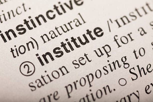 istock Institute - word in dictionary 625798672