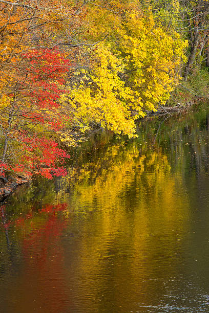 istock Bright fall colors reflect on the Farmington River, Canton, Conn 625799530