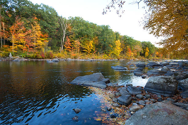 Colorful fall foliage along the Farmington River in Canton, Connecticut.