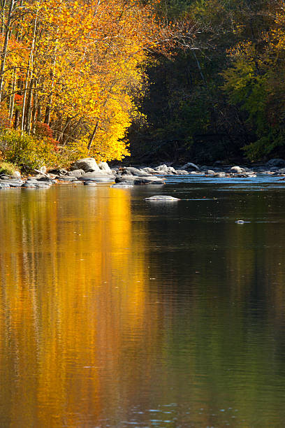istock Vivid fall foliage reflects on the Farmington River, Canton, Con 625800198