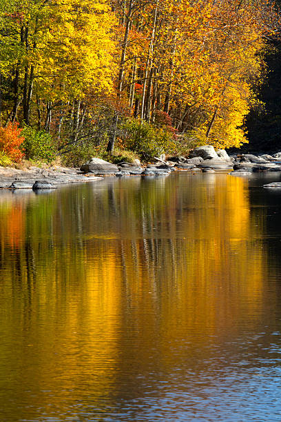 istock Vivid fall foliage reflects on the Farmington River, Canton, Con 625800226