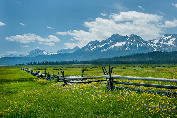 istock Sawtooth Range and Wildflowers, Idaho 625800524