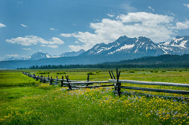 Sawtooth Range and Wildflowers, Idaho Stanley Basin in spring with wildflowers and Sawtooth Range, Idaho. rail fence stock pictures, royalty-free photos & images