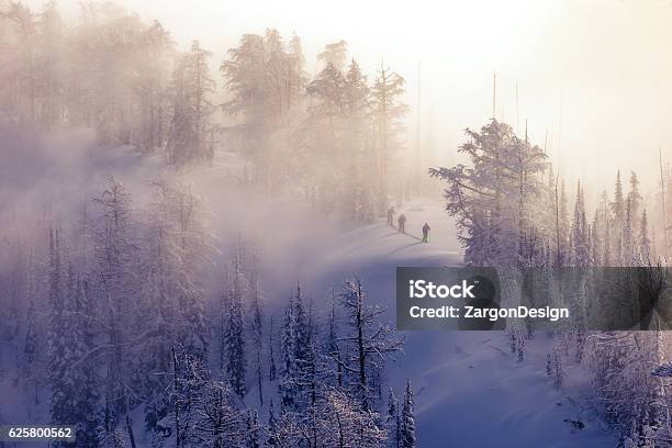 Ski Touring Stock Photo - Download Image Now - Back Country Skiing, Copy Space, Fog