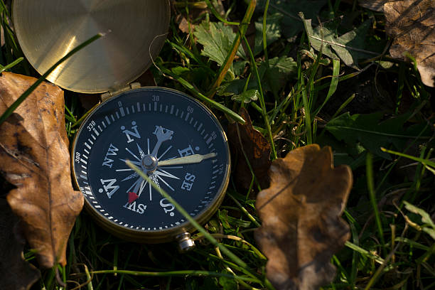 istock Magnetic compass in grass showing right directions 625800652